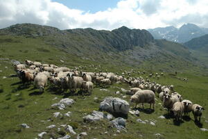 U subotu ponegdje moguća prolazna kiša i grmljavina