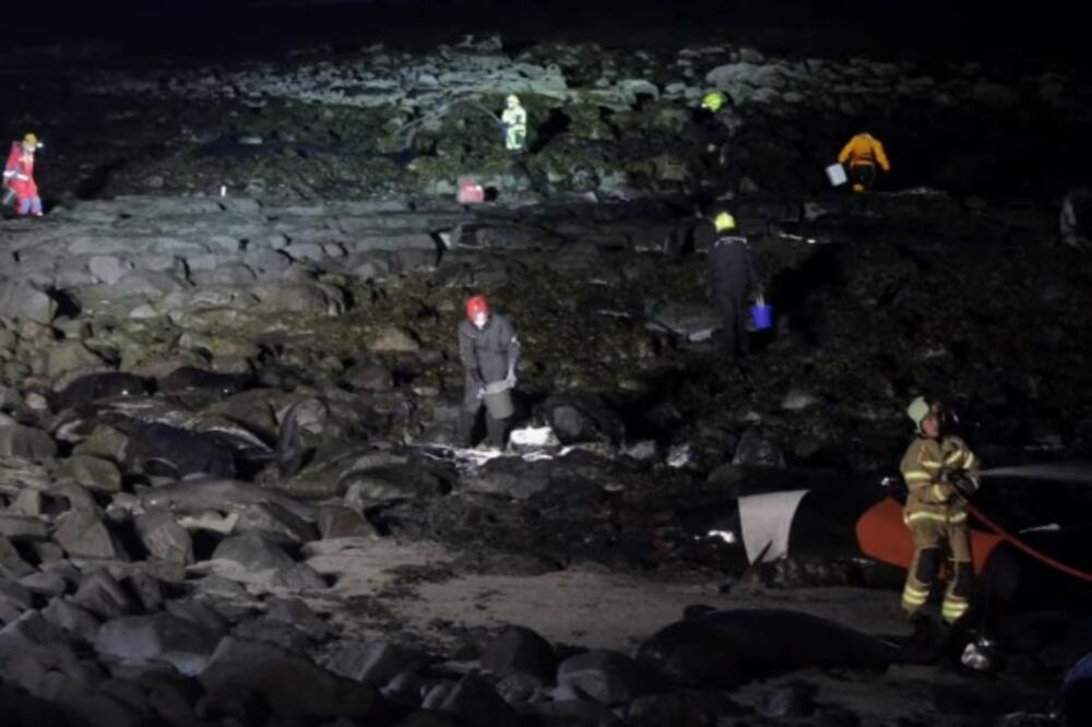 Detalj sa mjesta na kome su se nasukali kitovi, Foto: Screenshot/Youtube