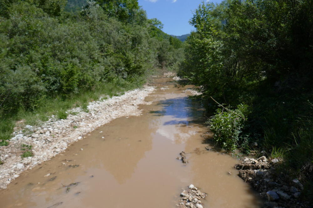 Rijeka Gračanica, Foto: Dragan Marojević, Dragan Marojević