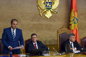 Na službena putovanja crnogorskih parlamentaraca potrošeno 44.246...