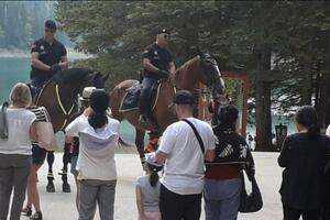 Konjička policija patrolira ulicama Žabljaka