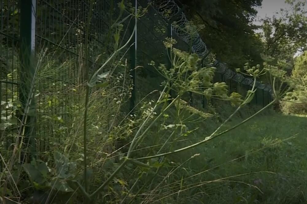 Žica postavljena na granici s Hrvatskom, Foto: Screenshot N1