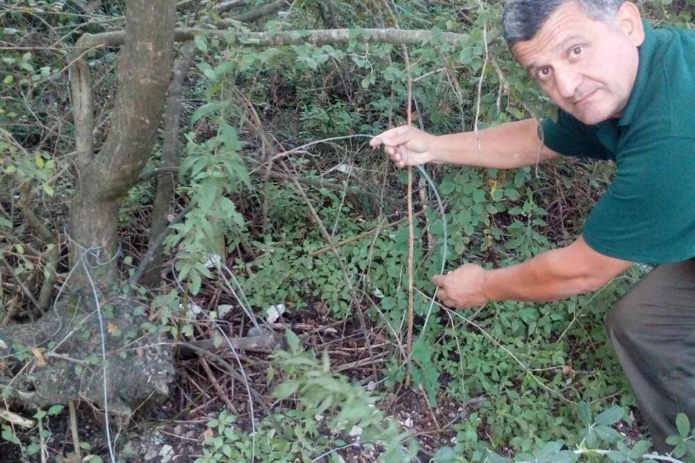 Pronađene sajle za krivolov, Foto: DOO "Lovstvo"