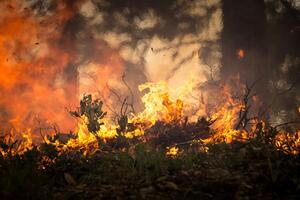 Suše i šumski požari prijete Španiji i Grčkoj