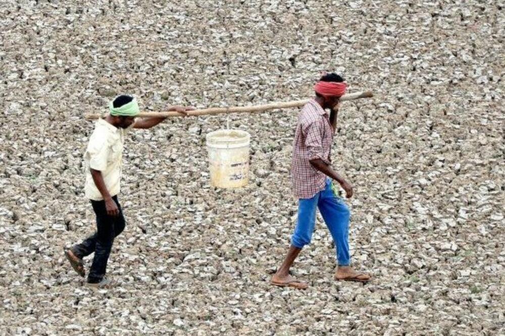 Indijski radnici nose kofu vode iz bare za vreme suše u Čenaju, Foto: Getty Images
