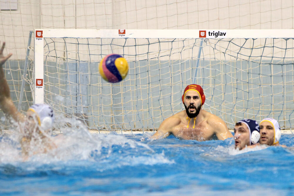 Dejan Lazović, Foto: Filip Roganovic