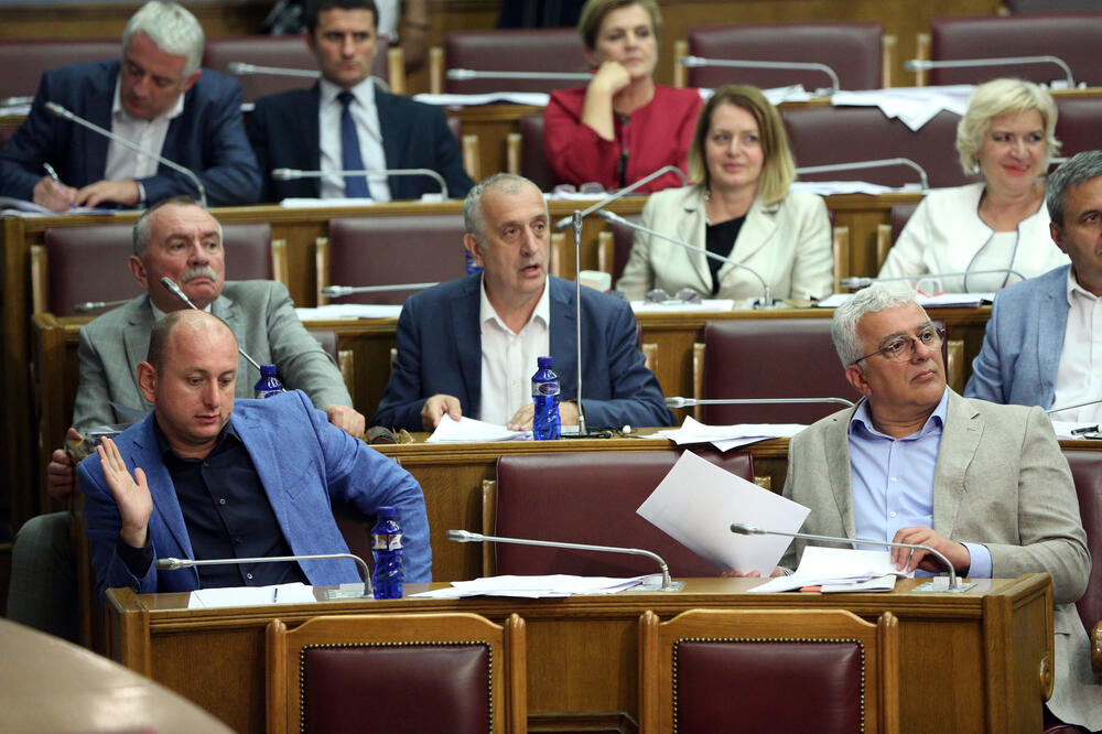 Detalj iz Skupštine Crne Gore, Foto: Filip Roganović