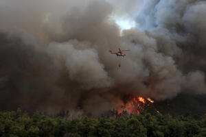 Hiljadu vatrogasaca protiv 50 šumskih požara u Grčkoj (VIDEO)
