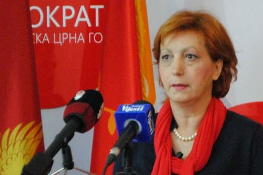 Popović, Foto: Demokratska Crna Gora, Demokratska Crna Gora