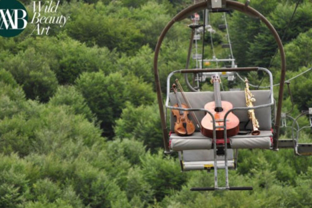 Wild Beauty Art, Foto: KotorArt