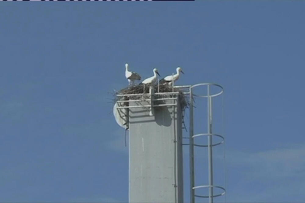 Jutarnji program, Foto: TV Vijesti