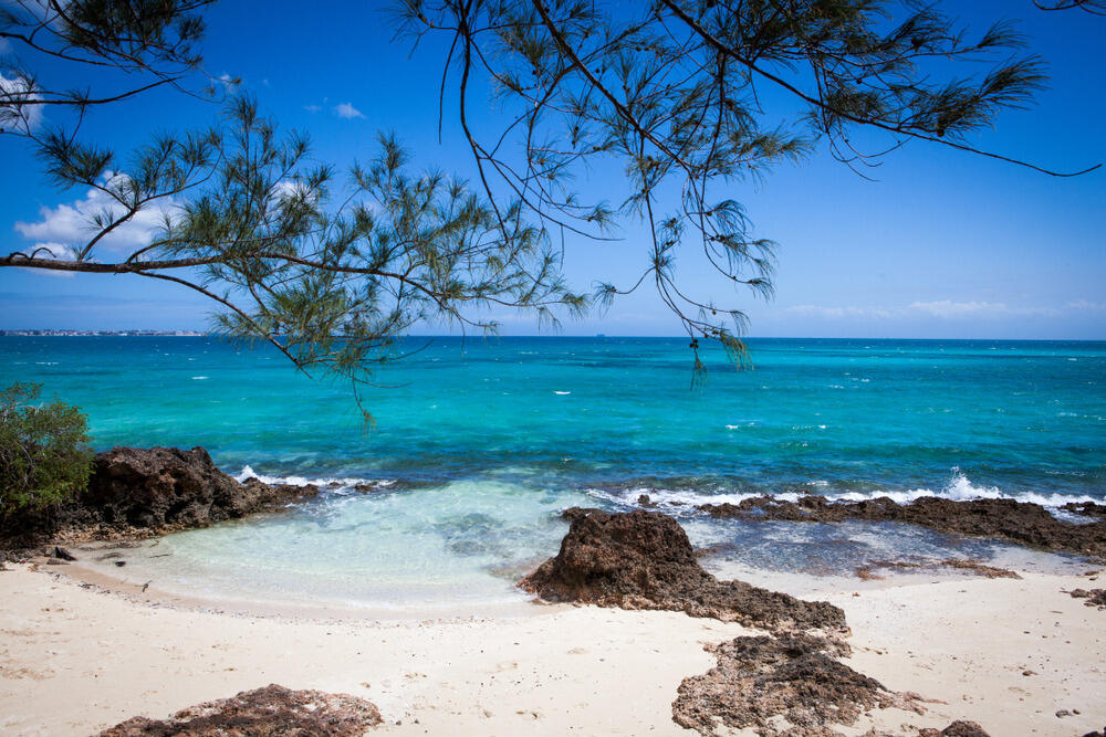 Ostrvo Čanguu, koje pripada Zanzibaru, egzotično je mjesto poznato po džinovskim kornjačama koje ga nastanjuju. Iako je na kartama upisan pod imenom Čanguu, mnogi turisti ga zovu Zatvorskim ostrvom (Prison Island) ili Ostrvom kornjača.Naziv Zatvorskoostrvo dobilo je zatvorskog kompleksa u kojem su nekada bili zatočeni robovi.