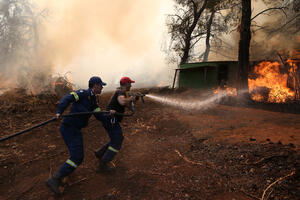 Požar u Grčkoj uništio više od 1.000 hektara guste borove šume