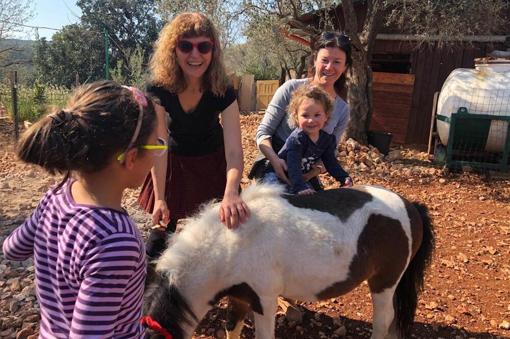 Domaće životinje atrakcija, Foto: RDA