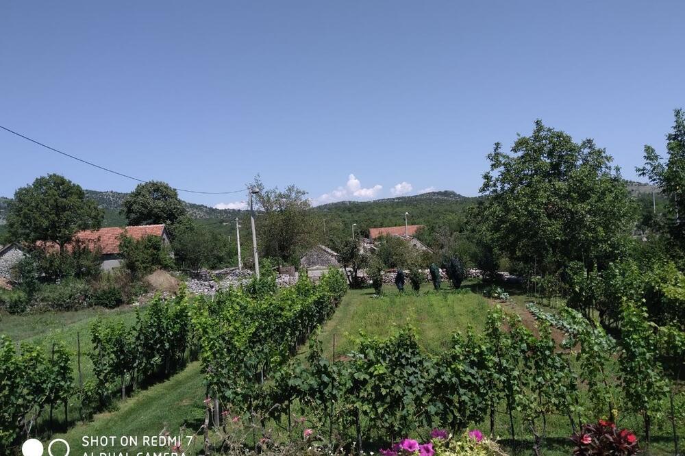 Poljoprivreda bi cvjetala da je vode: Progonovići, Foto: Borko Ždero