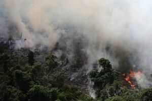 Rekordan broj požara u prašumama Amazona, Bolsonaro ne vidi ništa...