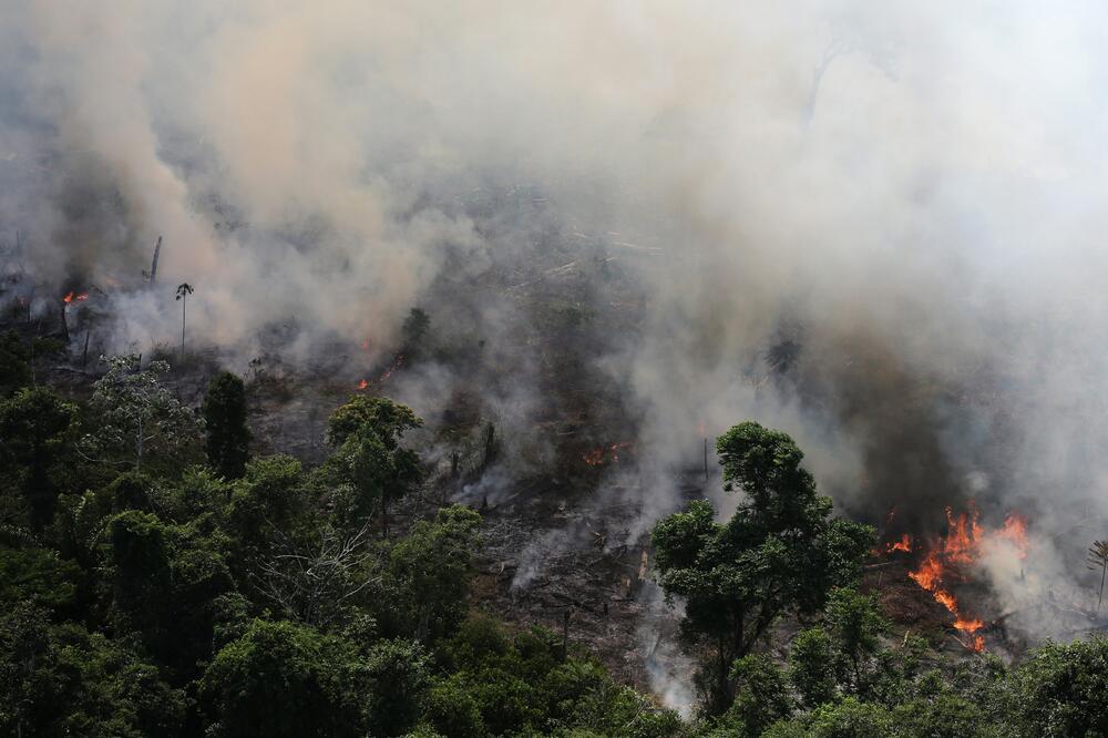 Jedan od požara u prašumama Amazona, Foto: Reuters