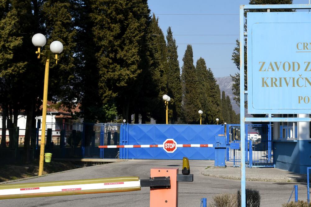 ZIKS, Foto: Boris Pejović