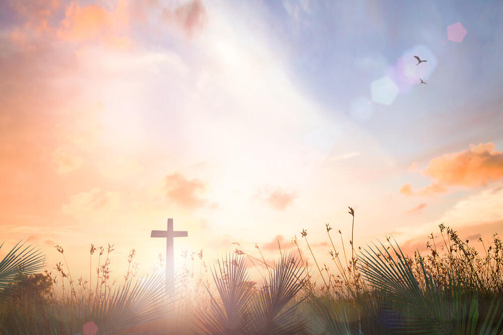 Ilustracija, Foto: Shutterstock