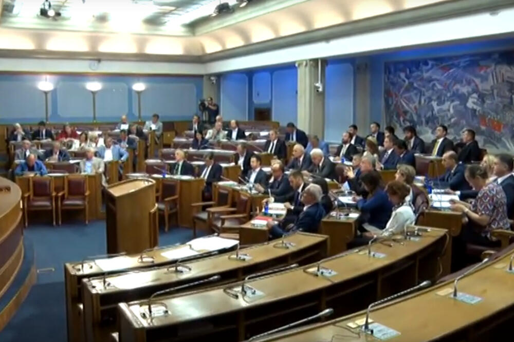 Detalj iz Skupštine, Foto: Screenshot