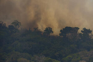 (VIDEO) Hiljade ljudi angažovano na gašenju požara u Amazoniji,...