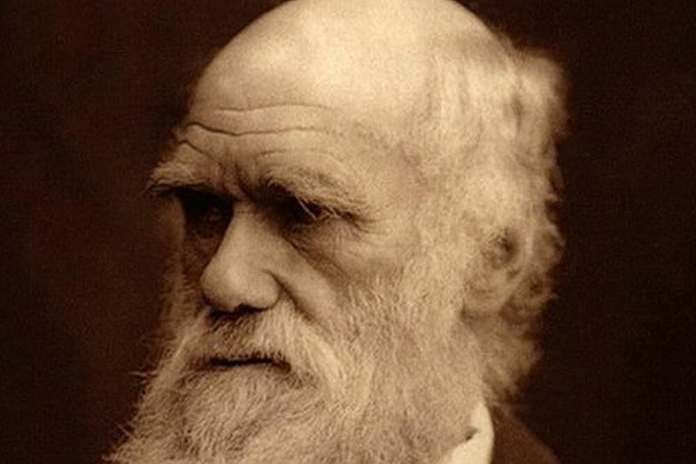 Čarls Darvin, Foto: Getty Images