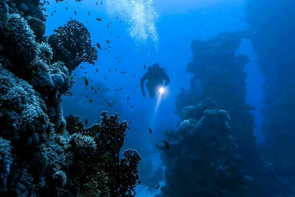 Ilustracija, Foto: Twitter