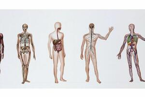 Doniranje tijela medicini: Tijelo zavještano nauci – ali korišćeno...