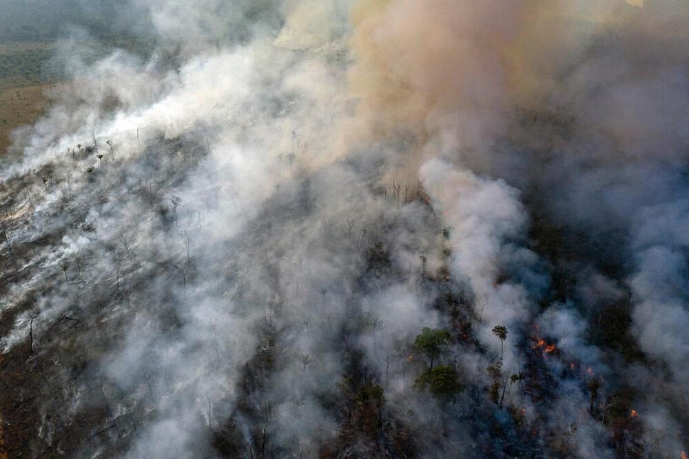 Dio amazonske prašume u plamenu, Foto: Reuters