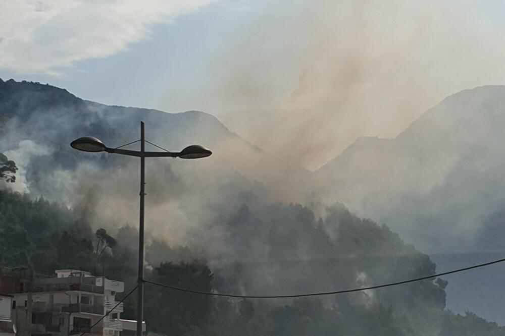 Požar u Sutomoru, Foto: SZS Bar
