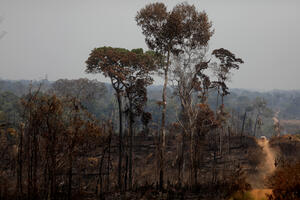 Zemlje G-7 najavile 20 miliona dolara pomoći Amazoniji u plamenu