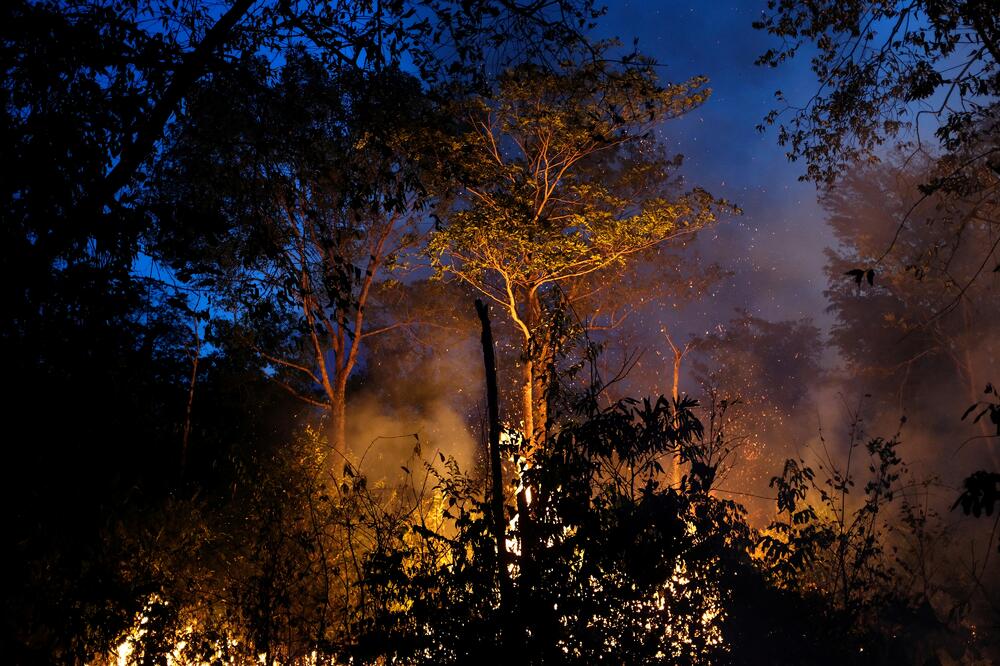 Većinu požara izazivaju poljoprivrednici, Foto: Reuters