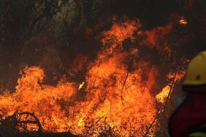 Amazonija gori, ali mnogo više požara u Angoli i Kongu