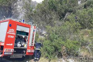 Požar na Cetinju, avioni MUP-a gase vatru