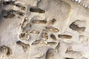 Peru: Pronađen dokaz o „najvećem žrtvovanju djece u istoriji"