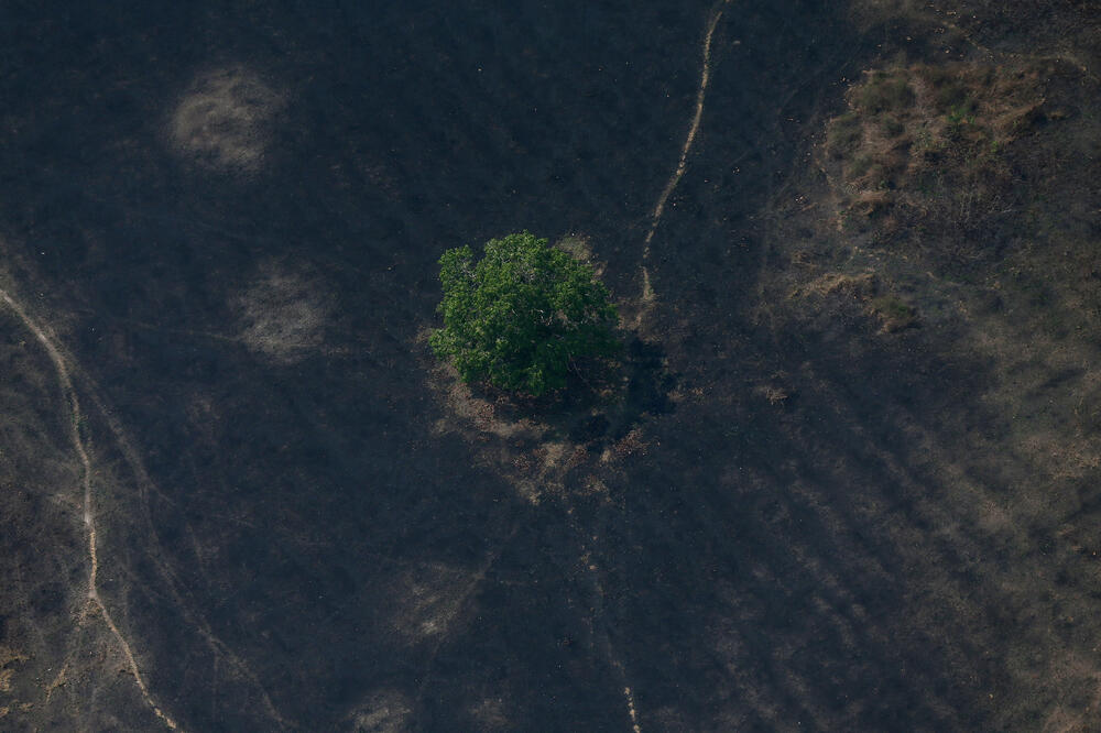 Snimci požara iz vazduha, Foto: Reuters