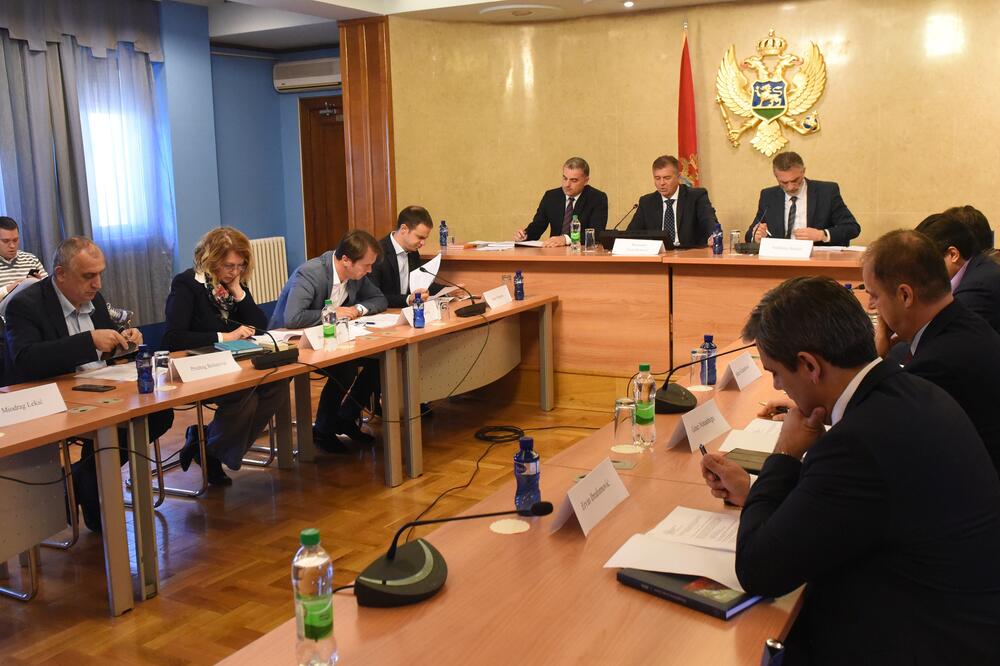 Naredna sjednica Odbora početkom septembra (arhiva), Foto: Savo Prelević