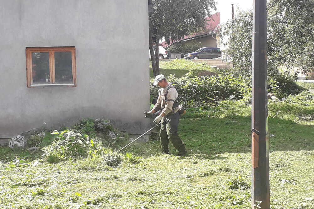 Posla ima i tokom sezone kosidbe, Foto: Dragana Šćepanović