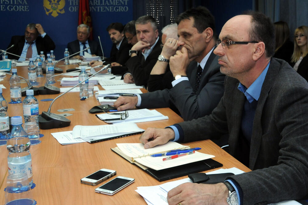 Skupštinski odbor za ustavna pitanja, Foto: Luka Zeković