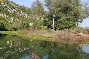 Podgorička URA: U NP "Skadarsko jezero" nemilice se siječe drveće