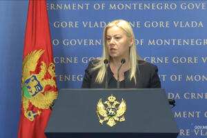 Daković: Crnoj Gori prijeti opasnost od afričke kuge svinja