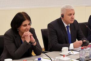 Radulović savjetnica za vanjsku i bezbjednosnu politiku