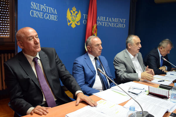 Stanković: „Koverta” nije posao poslanika
