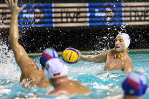 Kraj bogate karijere: Mlađan Janović rekao "dosta"