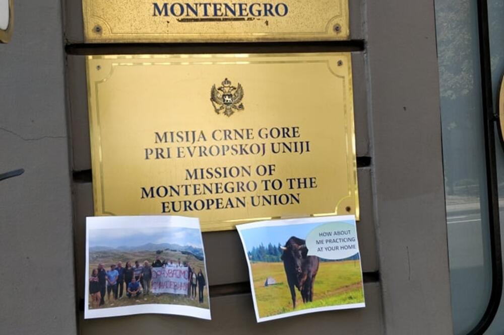 Slike sa Sinajajevine u Briselu, Foto: European Greens