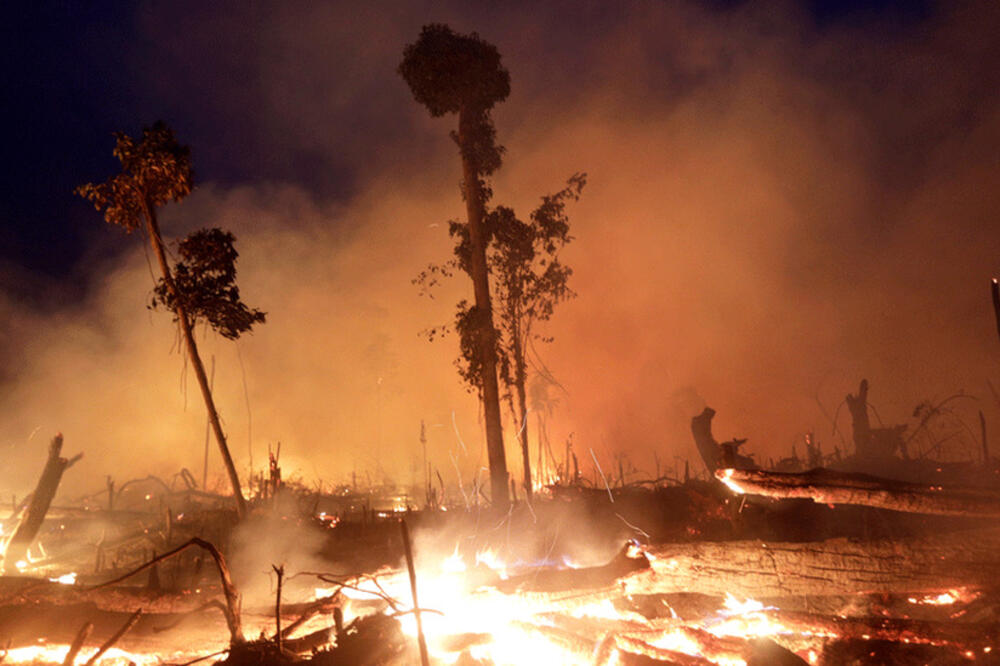 Drveće gori u brazilskom dijelu Amazonije, Foto: Reuters