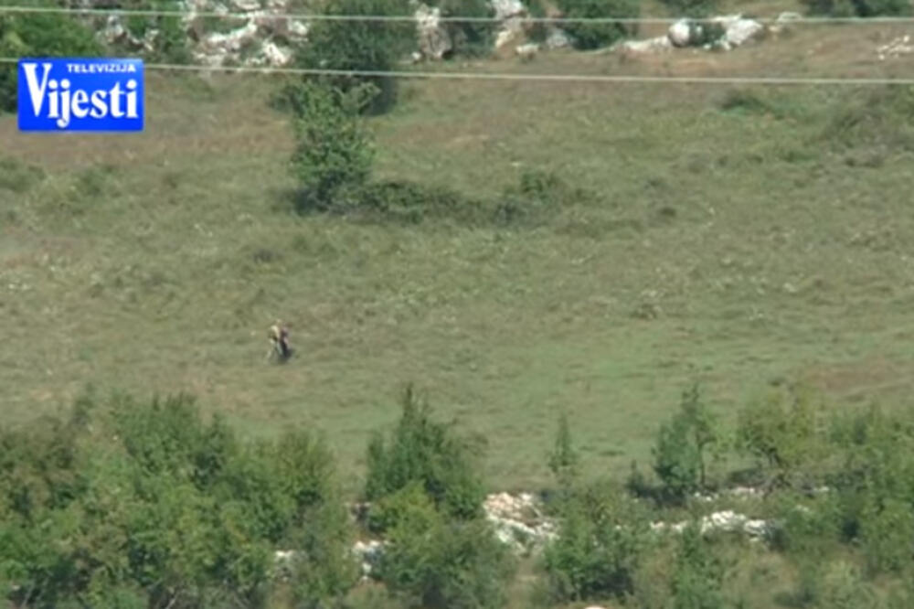 Ilustracija, Foto: Printscreen YouTube