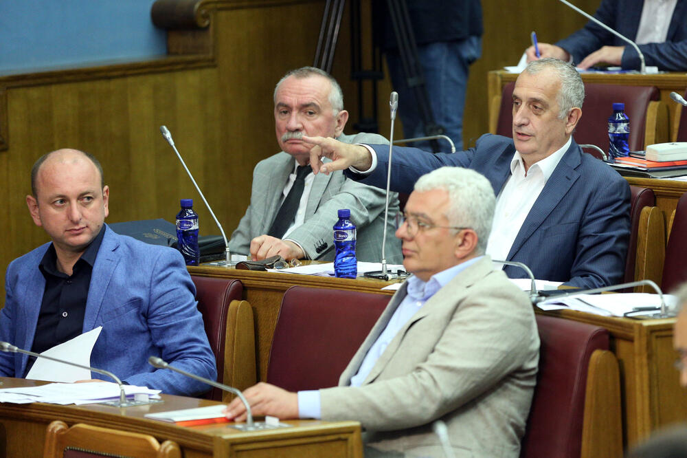 Poslanici DF-a, Foto: Filip Roganović