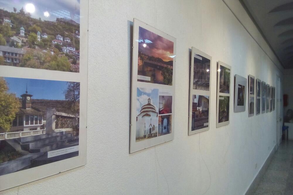 Sa izložbe, Foto: Dragana Šćepanović