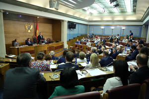 Montenegro Prajd traži ukidanje direktnog prenosa sjednica...